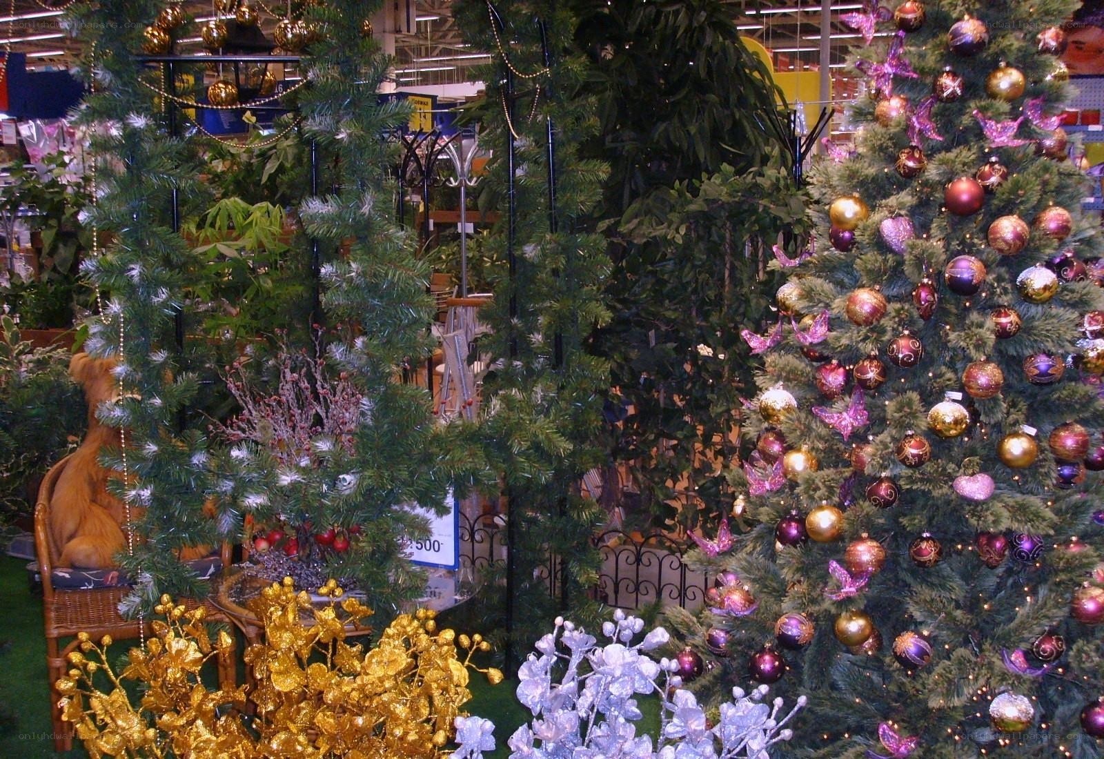 Christmas trees in a store