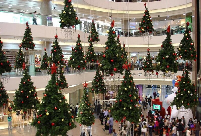 Christmas Trees in Mall