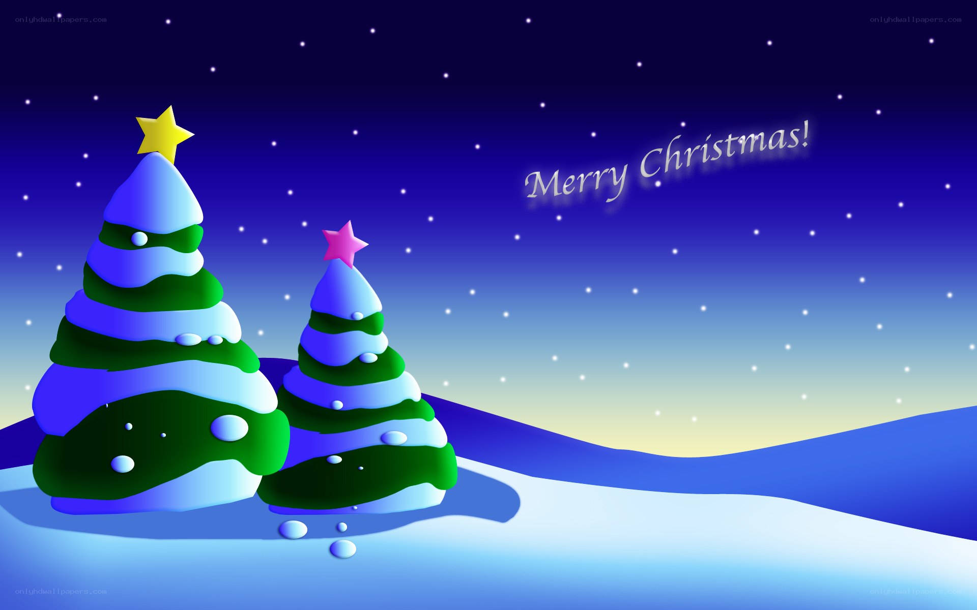 Christmas trees in snow