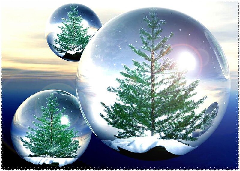Christmas trees in snow globes