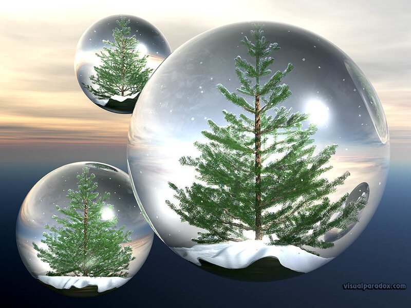 Christmas trees in snow globes