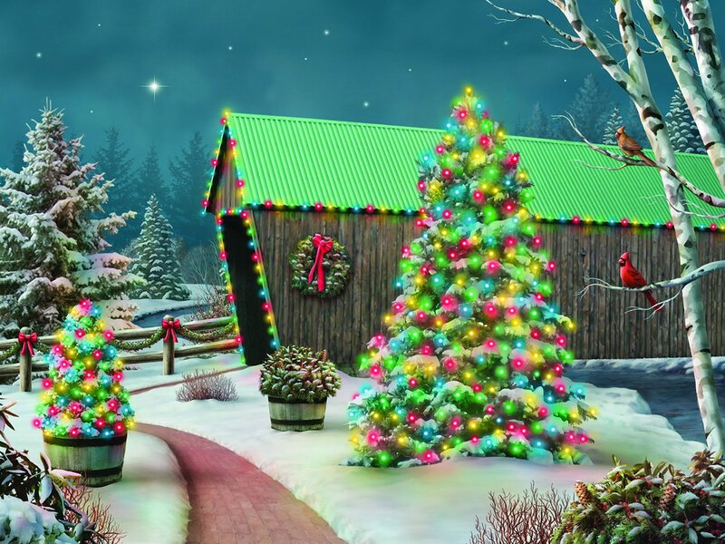 Christmas Trees in Snow — Green, Festive, Night