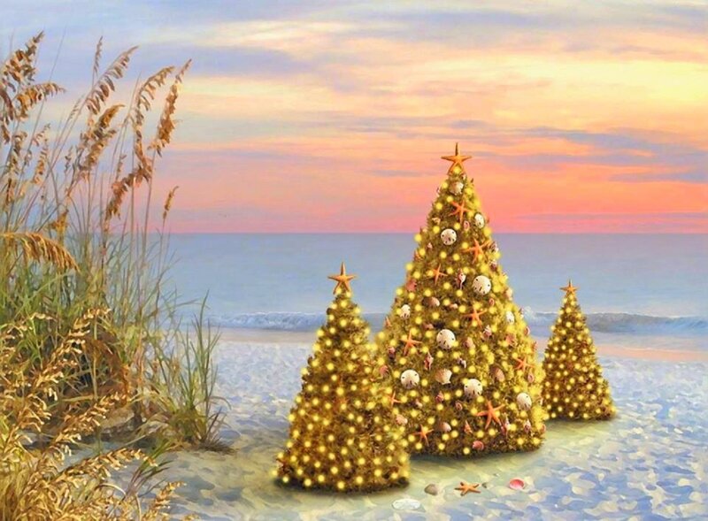 Christmas Trees on Beach