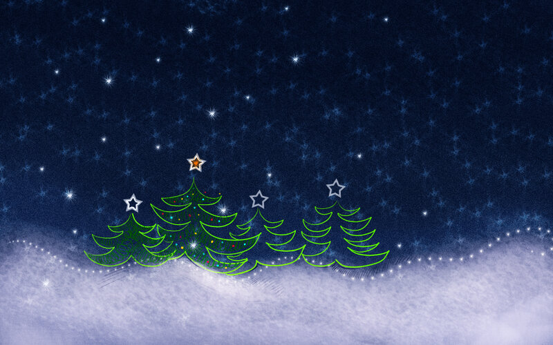 Christmas trees under starry sky