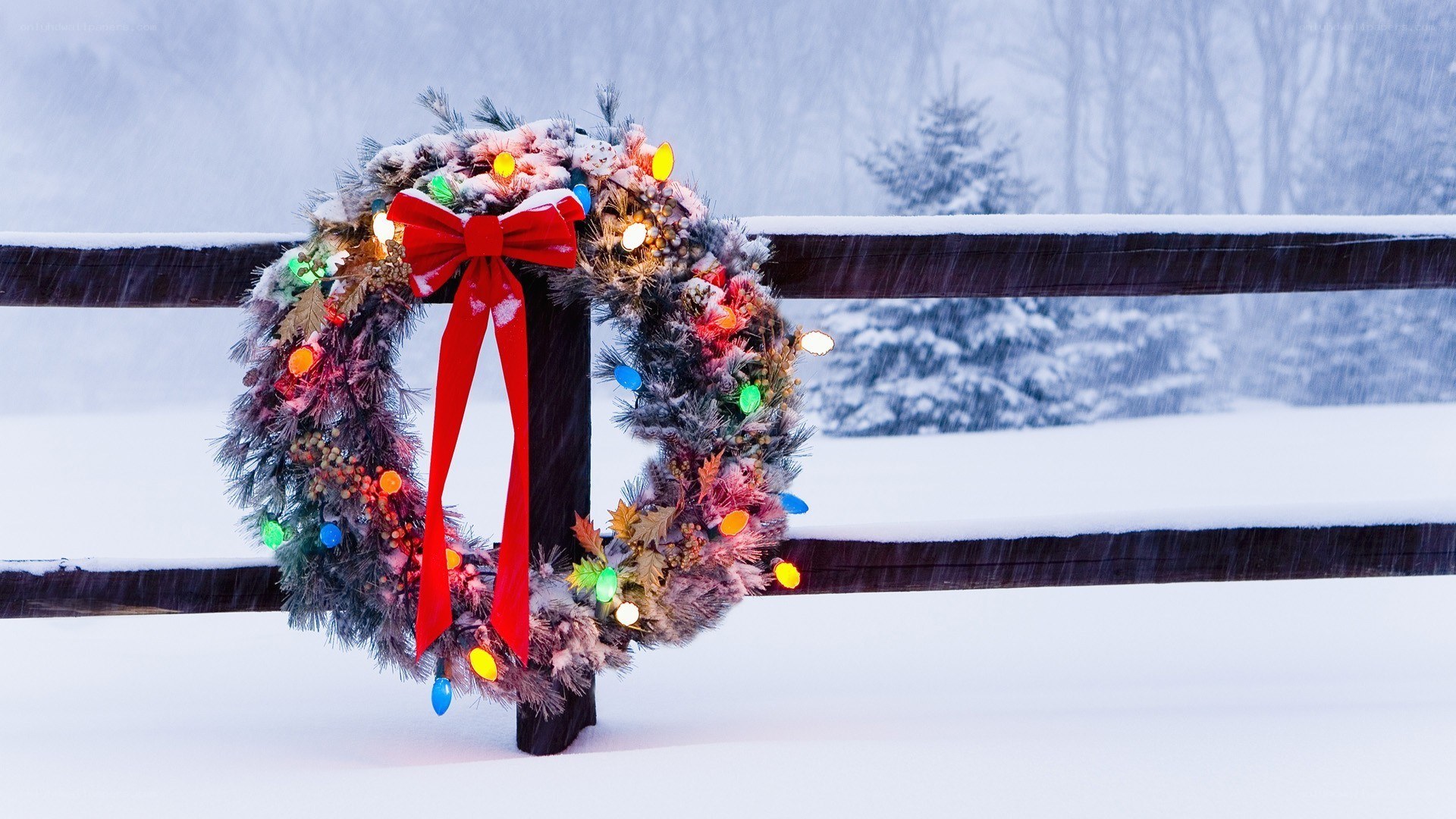 Christmas wreath in snow