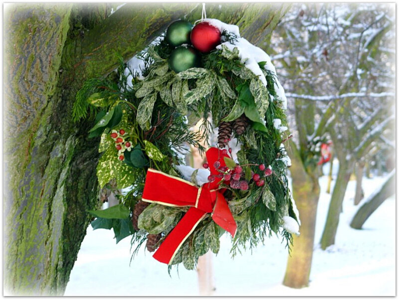 Christmas Wreath on Tree