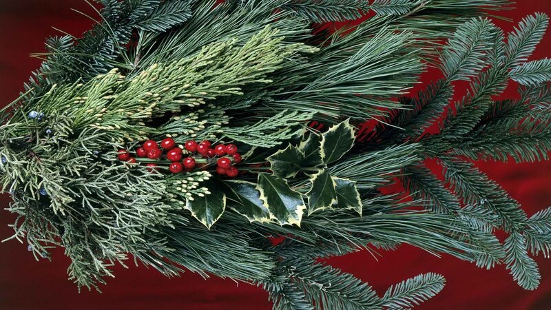Christmas wreath with berries