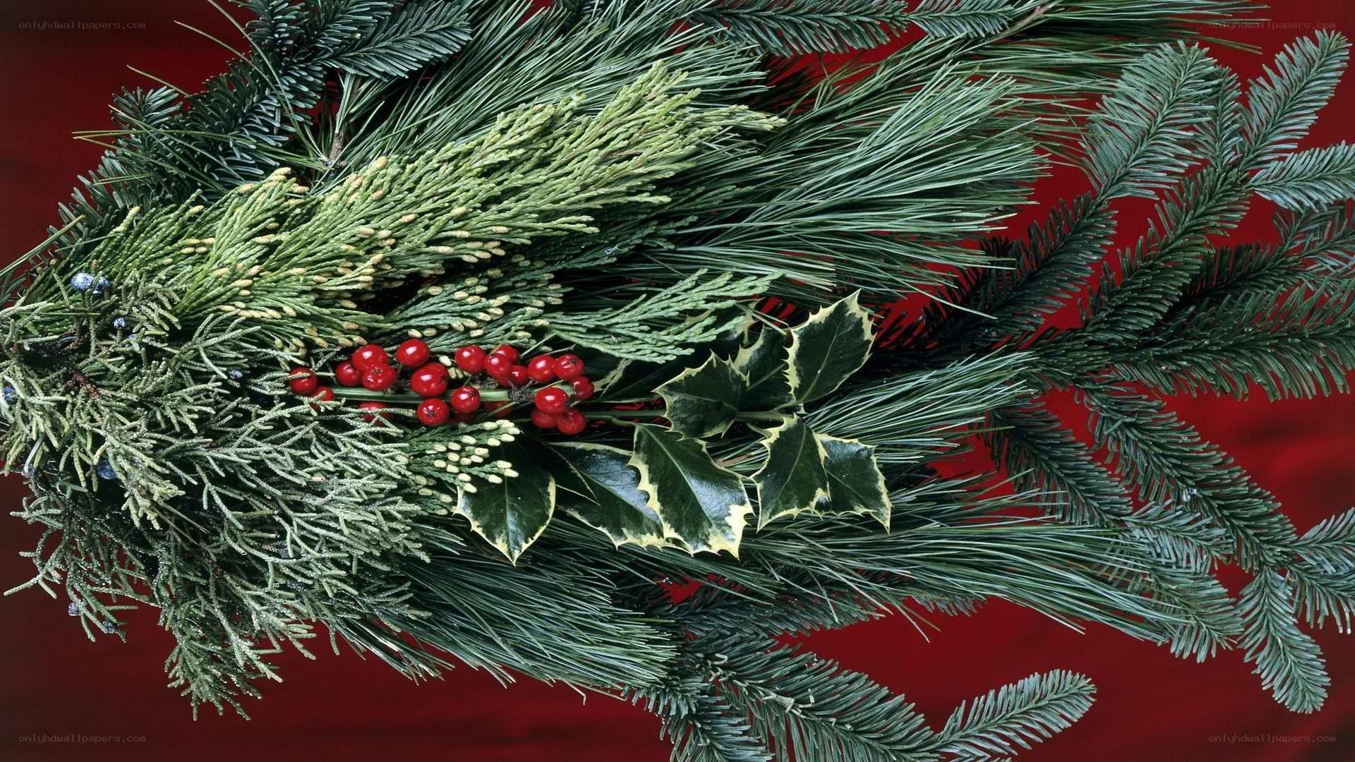 Christmas wreath with berries