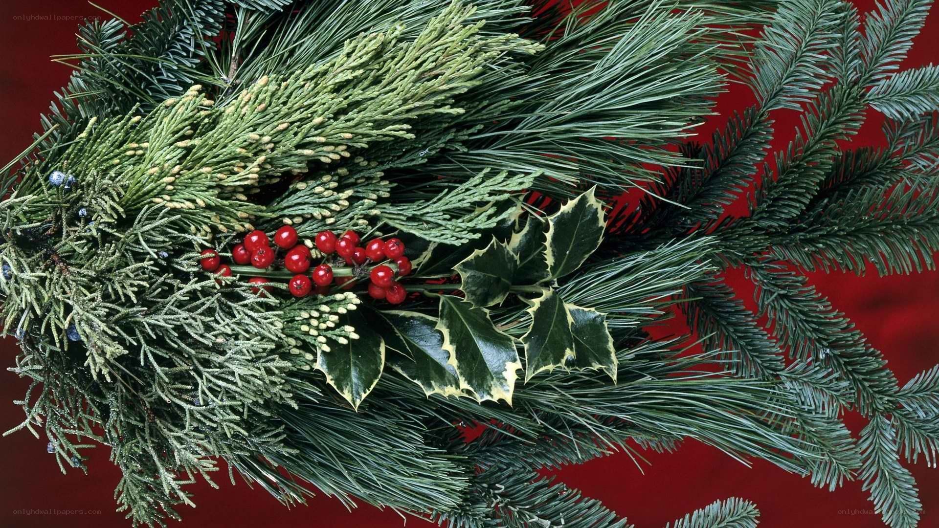 Christmas wreath with berries