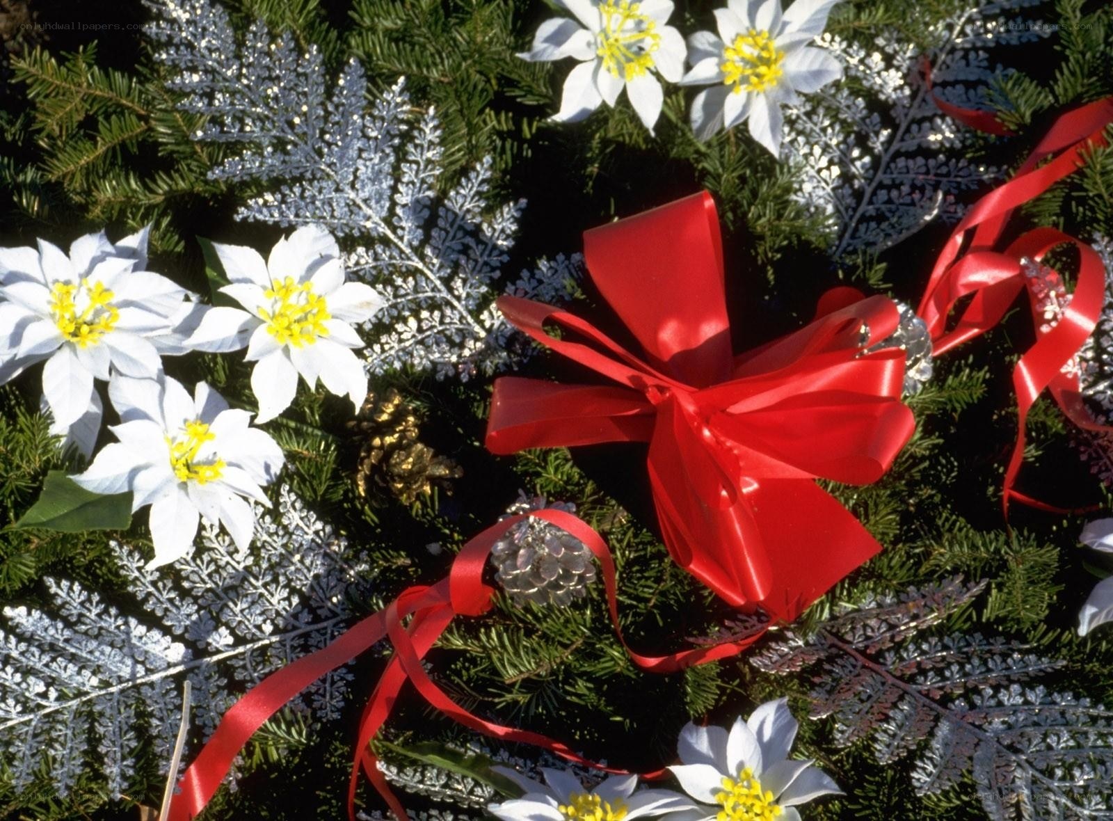Christmas wreath with red bow