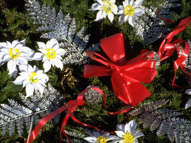 Christmas Wreath with Red Bow — Green, Festive