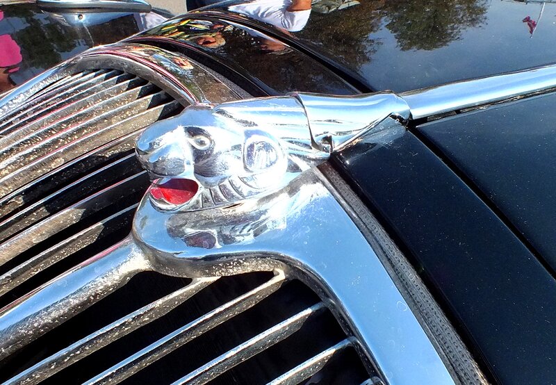 Chrome Car Mascot — Black