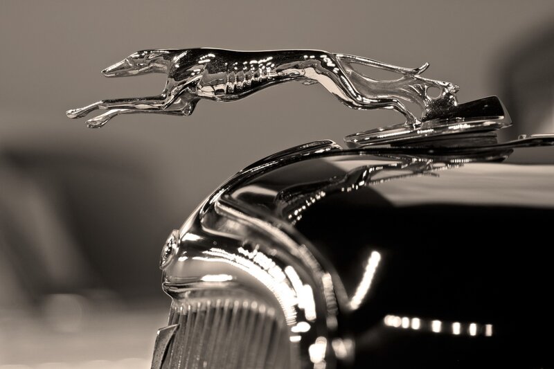 Chrome Dog Hood Ornament