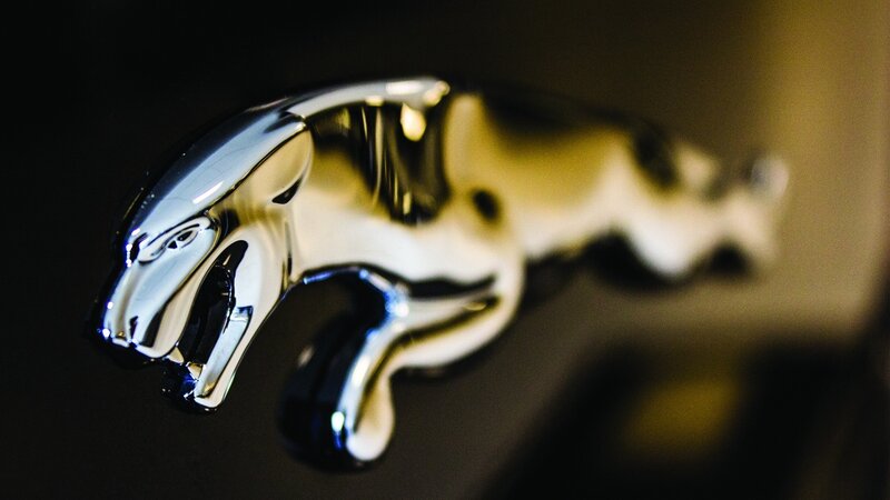 Chrome Jaguar Emblem — Silver