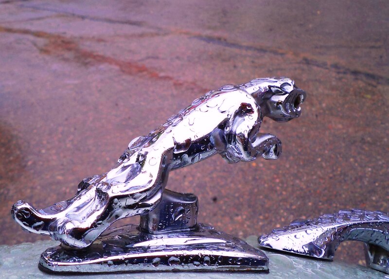Chrome Jaguar Hood Ornament