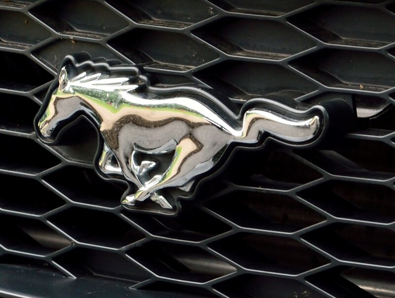 Chrome Mustang Emblem — Black, Neutral