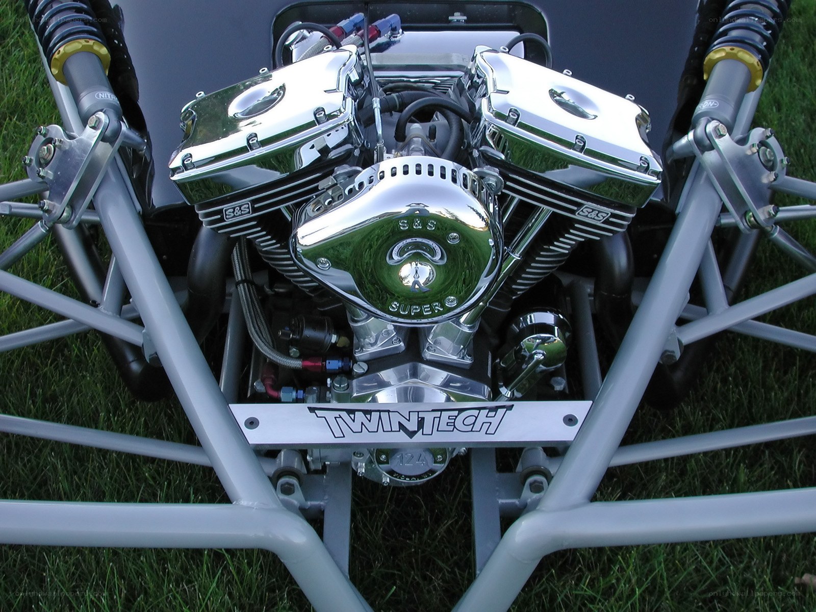 chrome twin engine on grass
