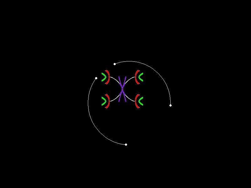 chromosome structure diagram