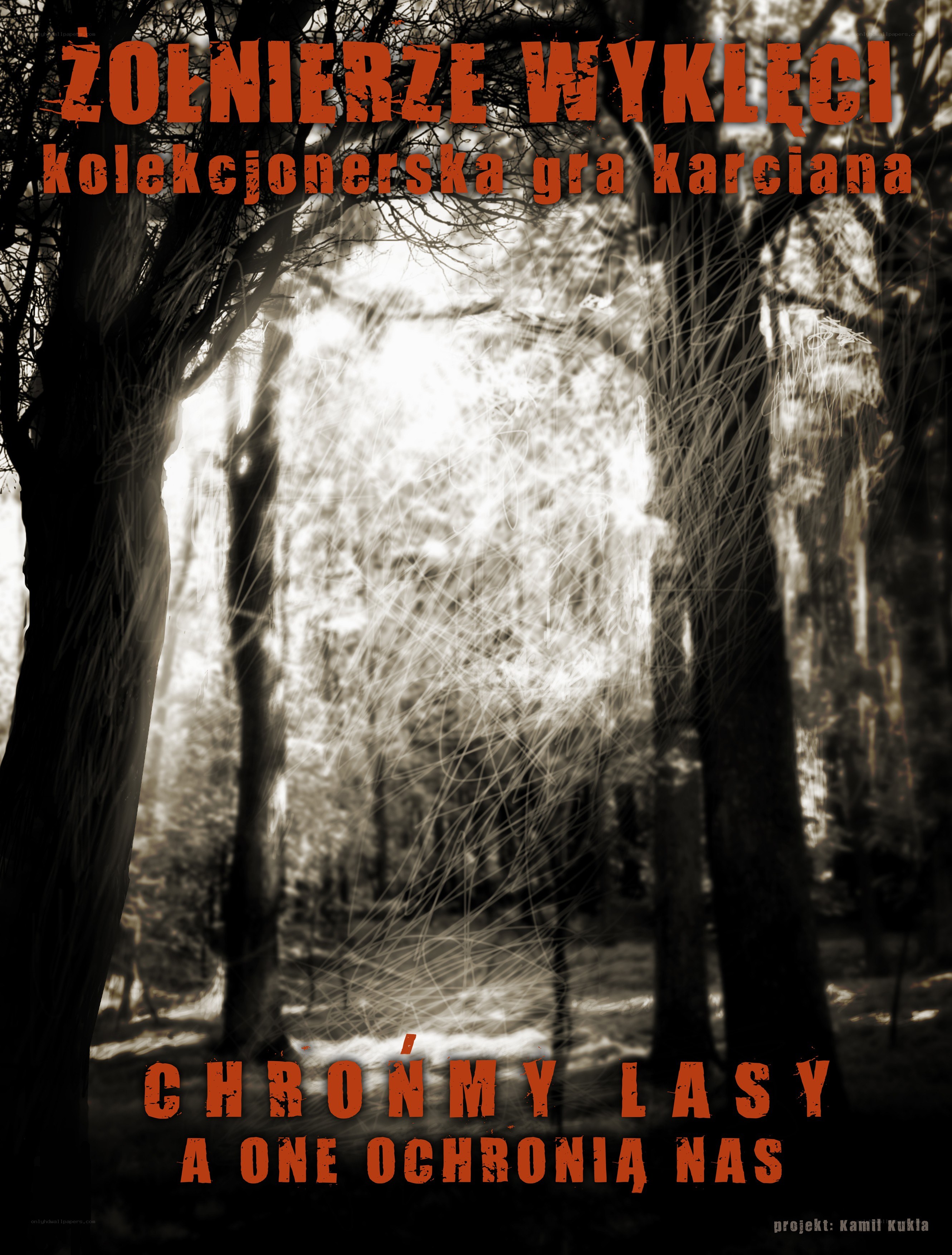 Chronicles of the Forest