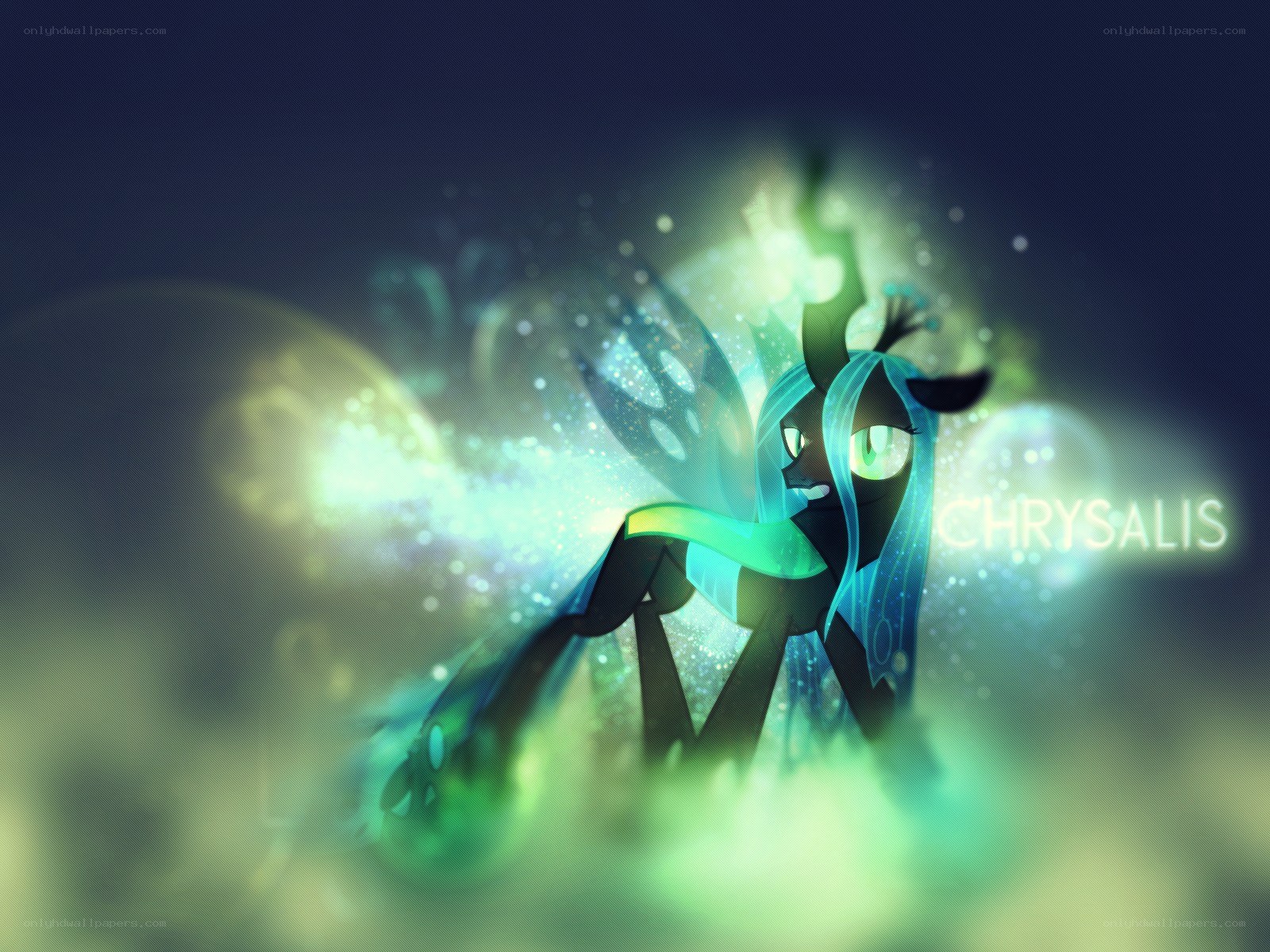 Chrysalis in glowing light