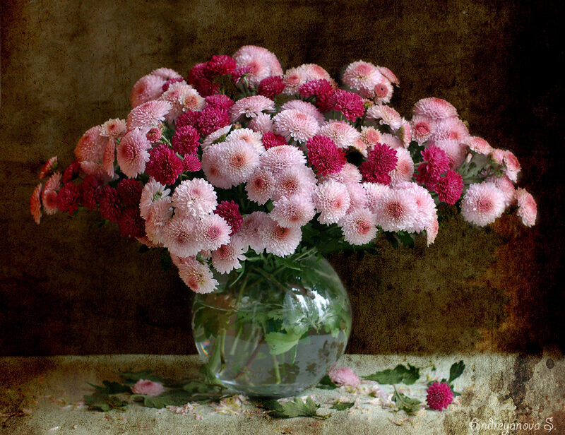 Chrysanthemum bouquet in vase
