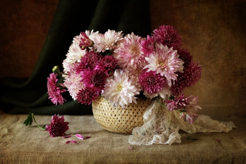 Chrysanthemum Bouquet — Pink, Calm