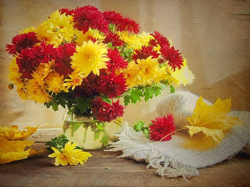 Chrysanthemum Bouquet — Red, Calm