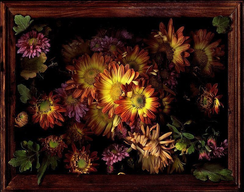 Chrysanthemum Bouquet — Yellow