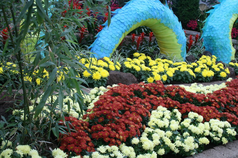 Chrysanthemum Flower Display — Yellow, Festive