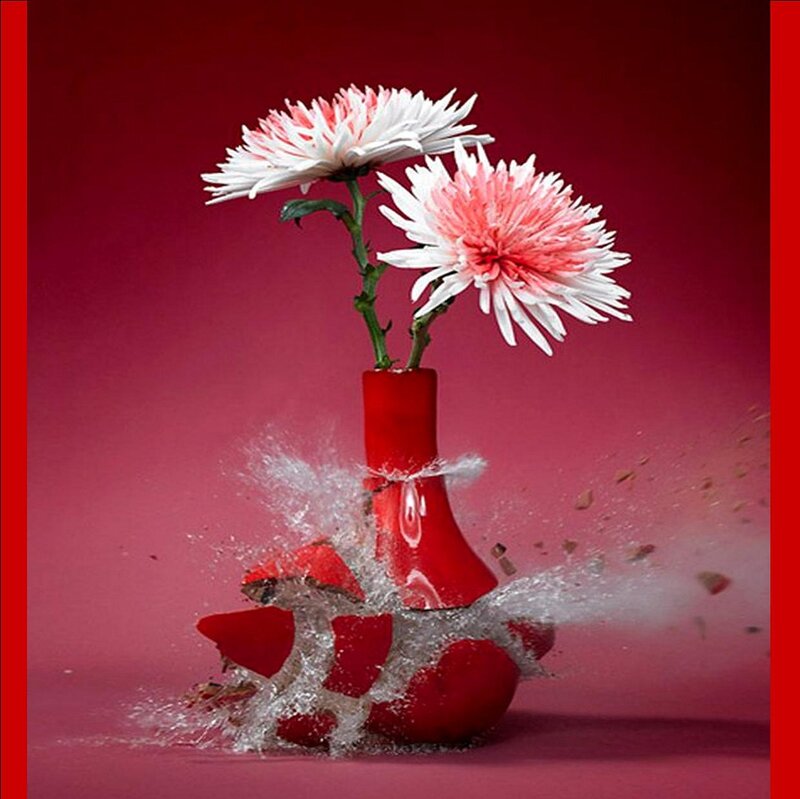 Chrysanthemum Flowers — Red