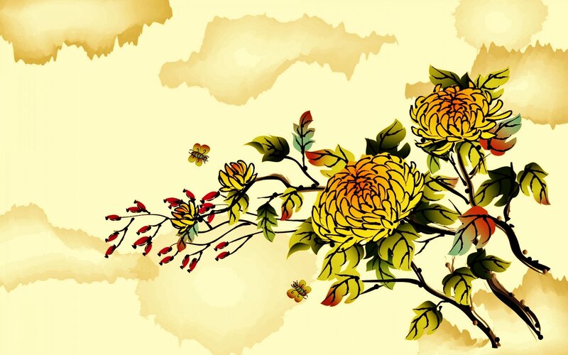 Chrysanthemum Flowers — Yellow