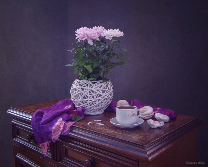 Chrysanthemum in Vase