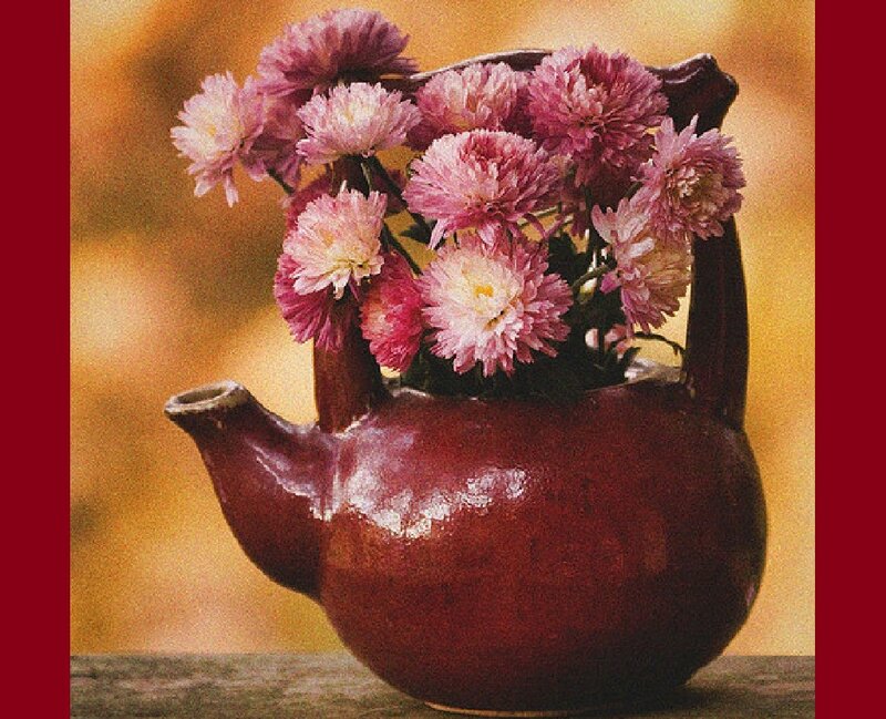 Chrysanthemums in Teapot