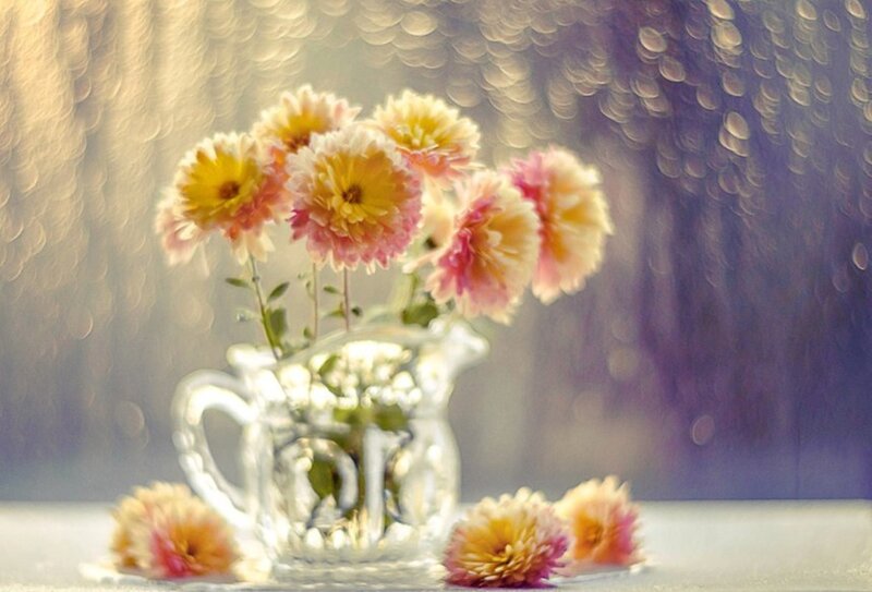 Chrysanthemums in Vase — Yellow