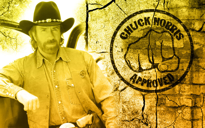 Chuck Norris approved logo