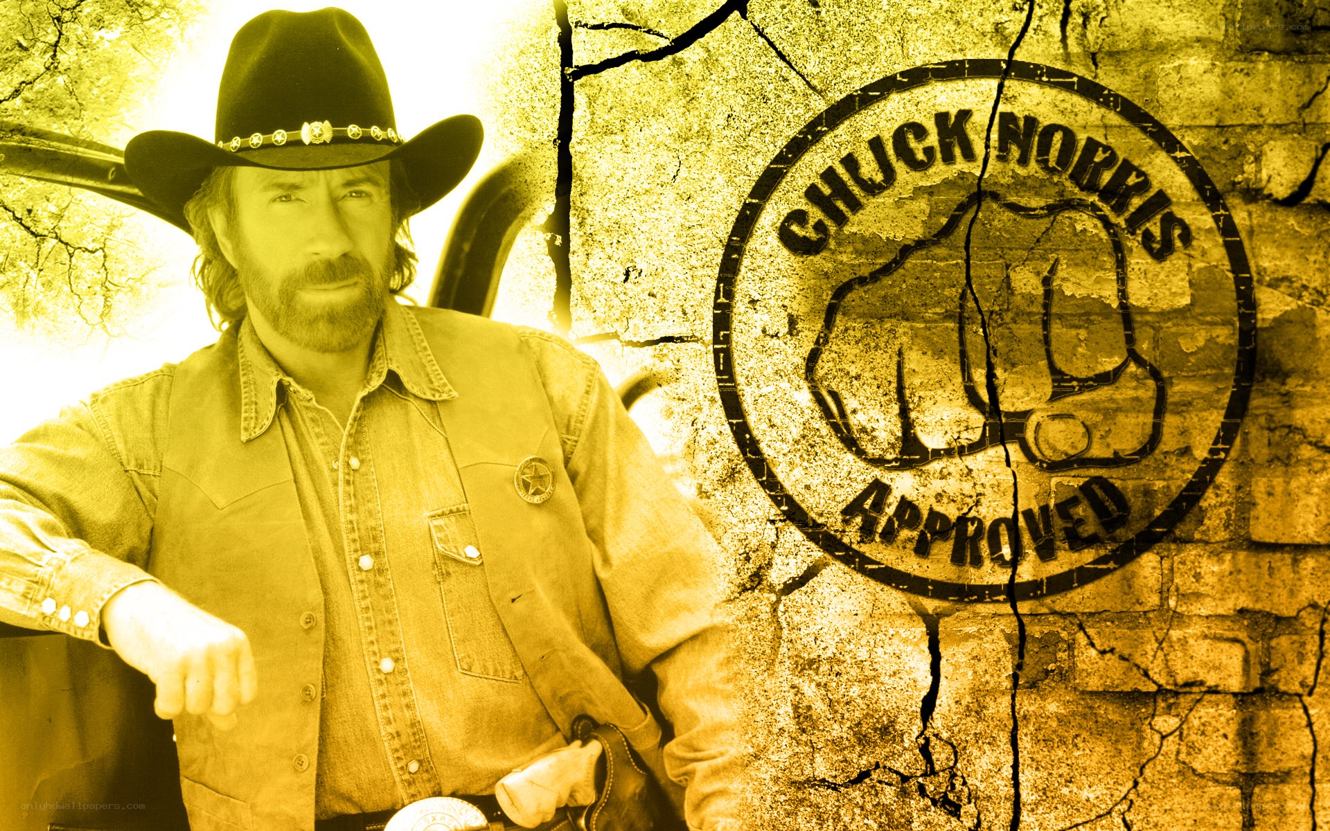 Chuck Norris approved logo