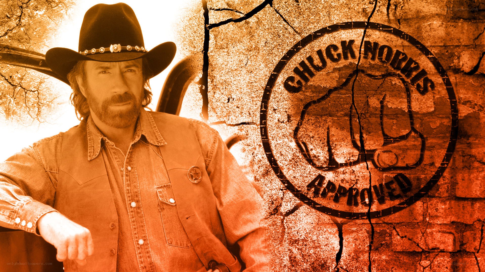 Chuck Norris approved logo