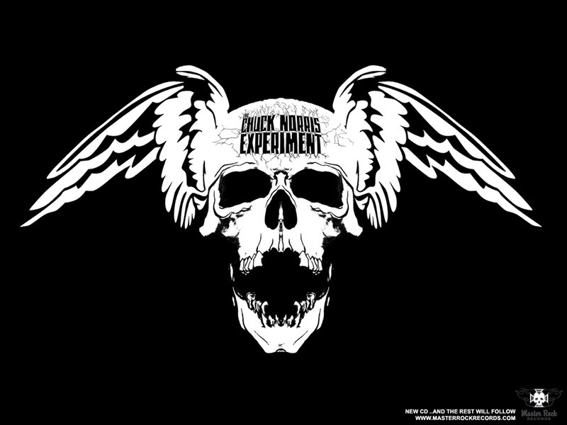 Chuck Norris Experiment logo