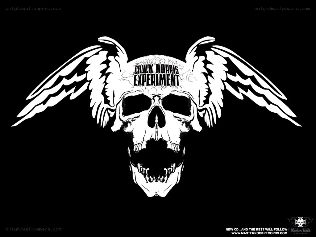 Chuck Norris Experiment logo