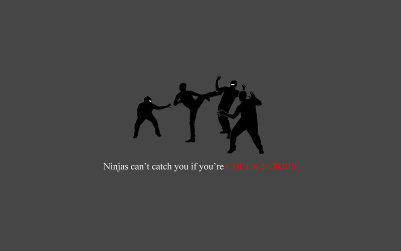 Chuck Norris ninjas