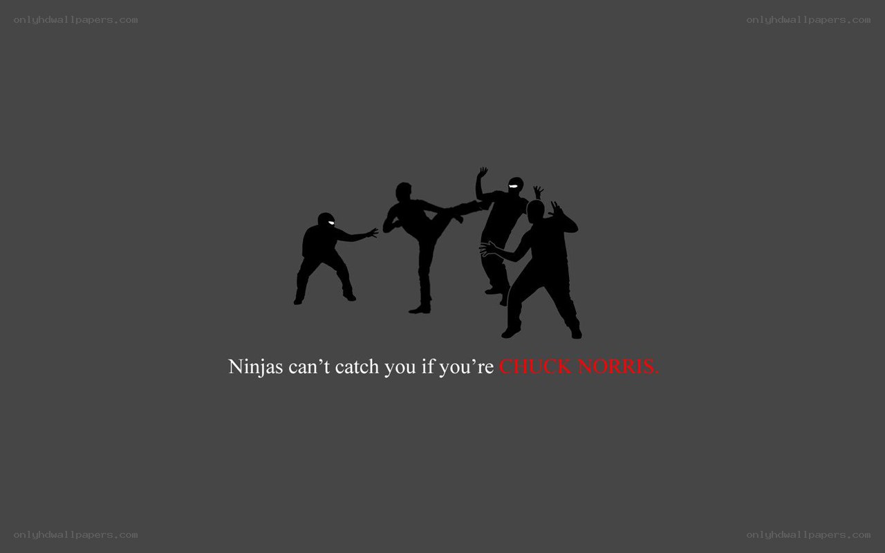 Chuck Norris ninjas