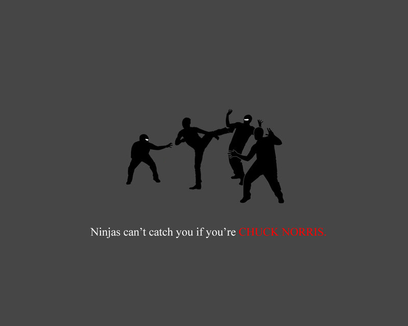 Chuck Norris vs ninjas