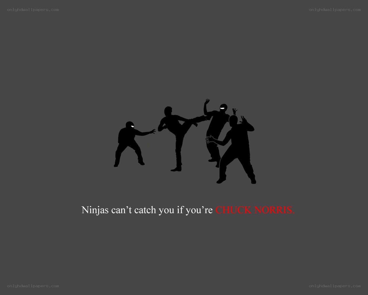 Chuck Norris vs ninjas