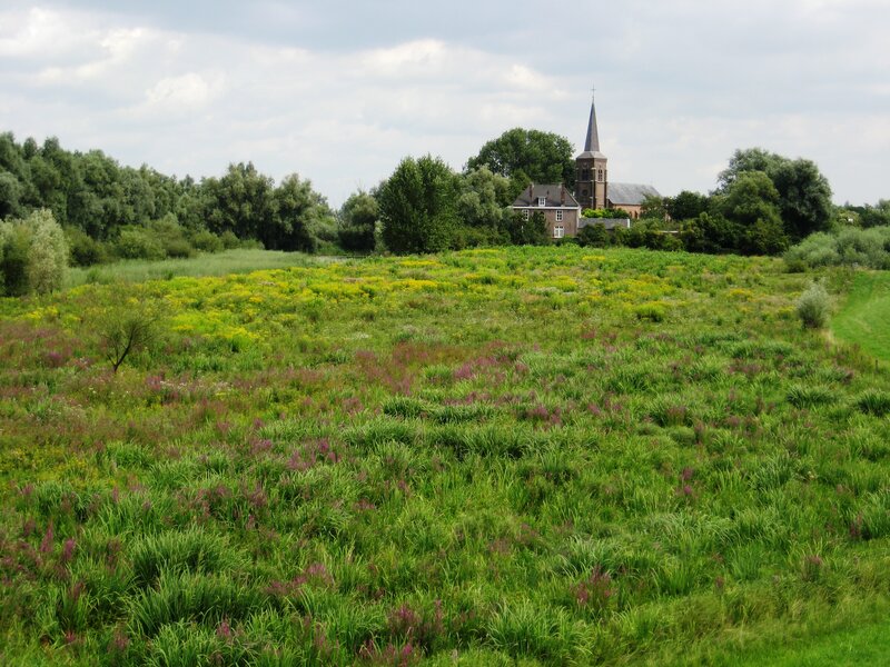 Church in a Meadow