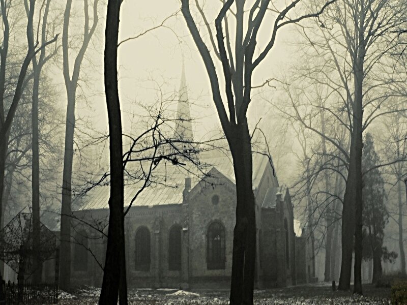 Church in a misty forest