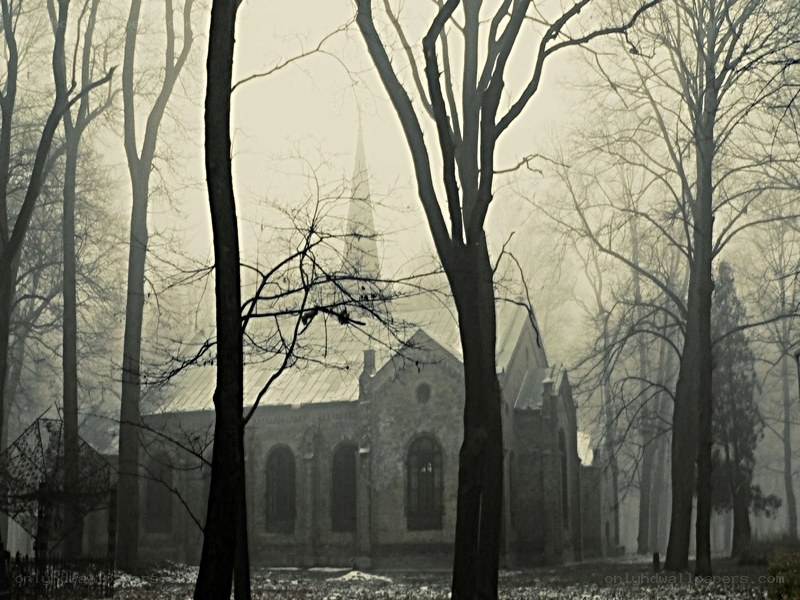Church in a misty forest