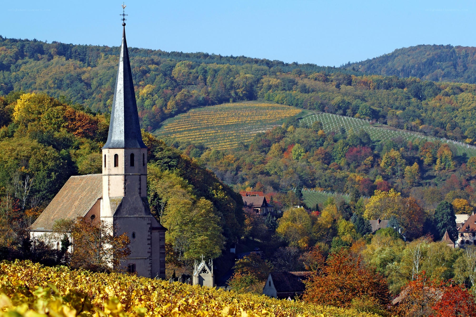 Church in a vineyard landscape