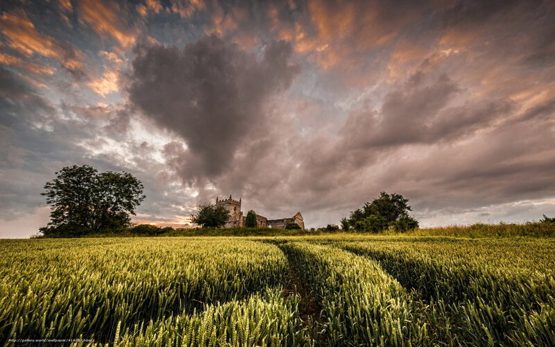 Church in a wheat field