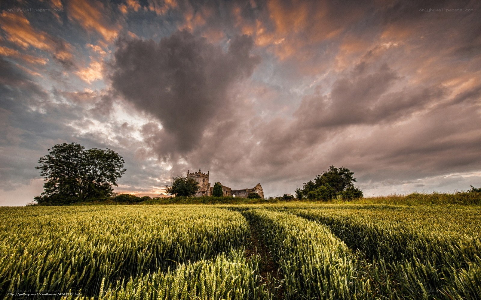 Church in a wheat field