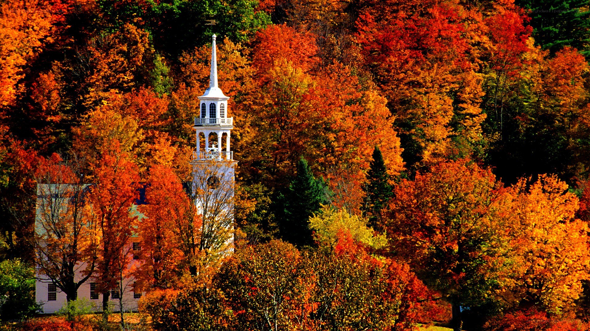 Church in autumn foliage